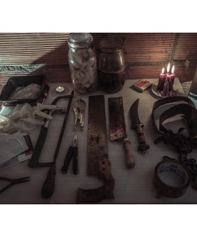 The Fan Steam Key GLOBAL